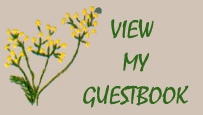 view my guestbook